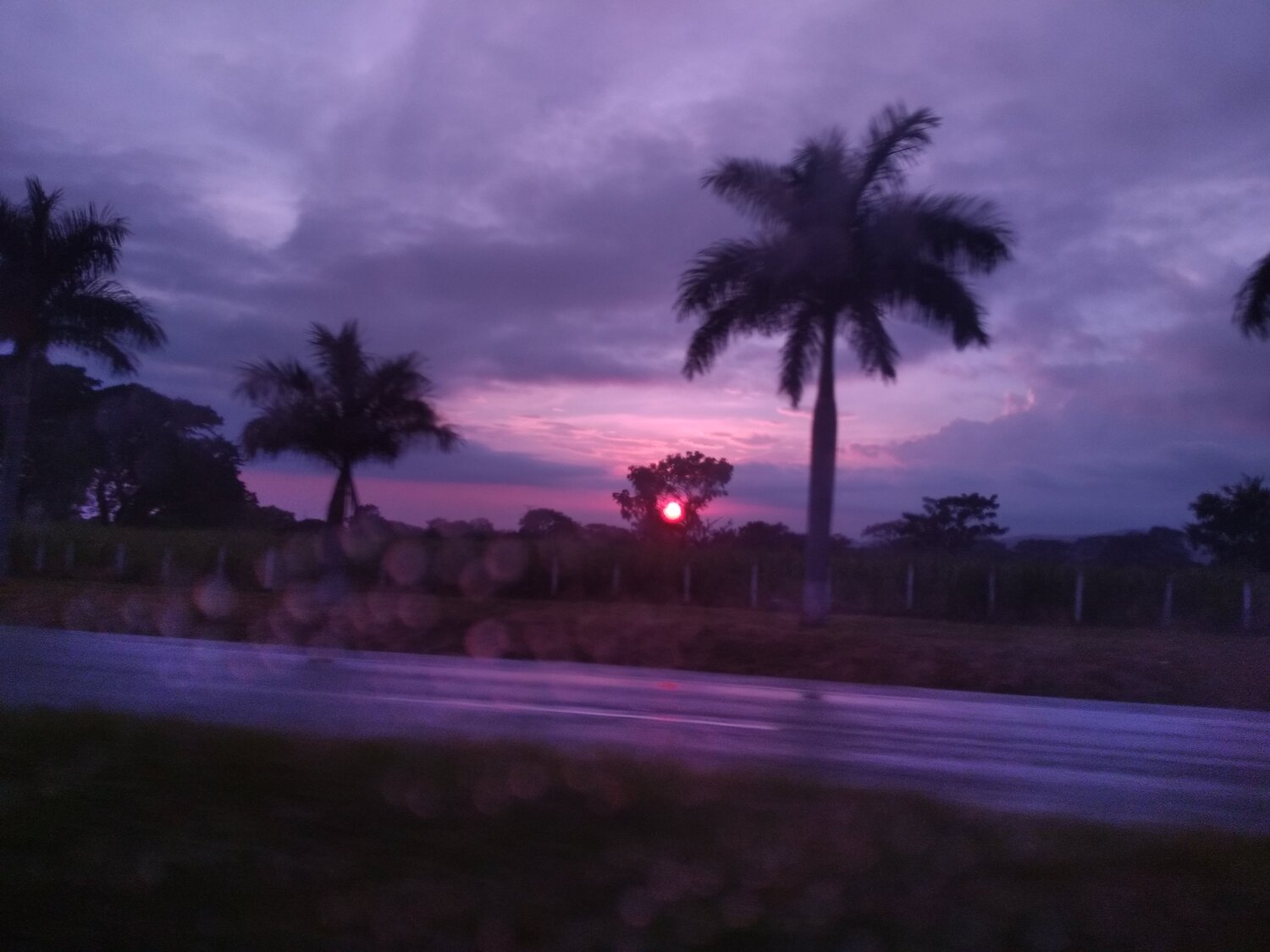 Photo #4269423