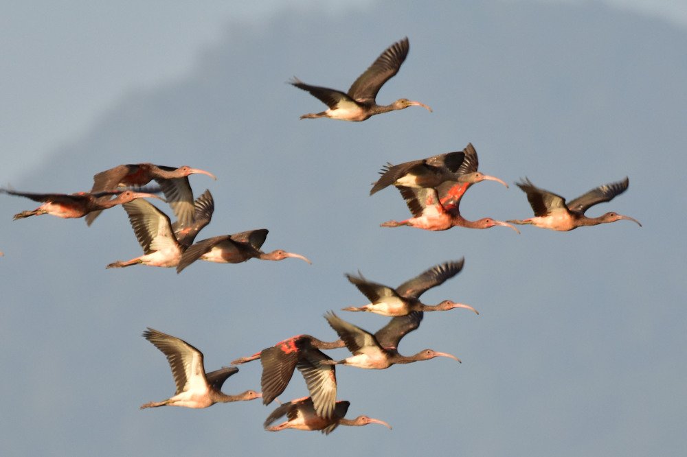 Photograph by Marcia Paul-Assing