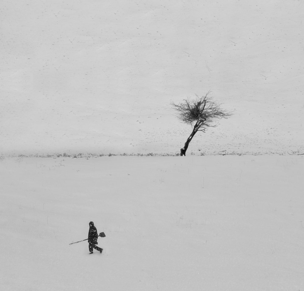 Photograph by niloufar sharifi