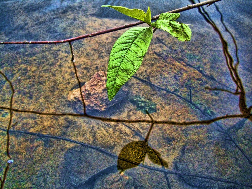Отражение как ипродолжение