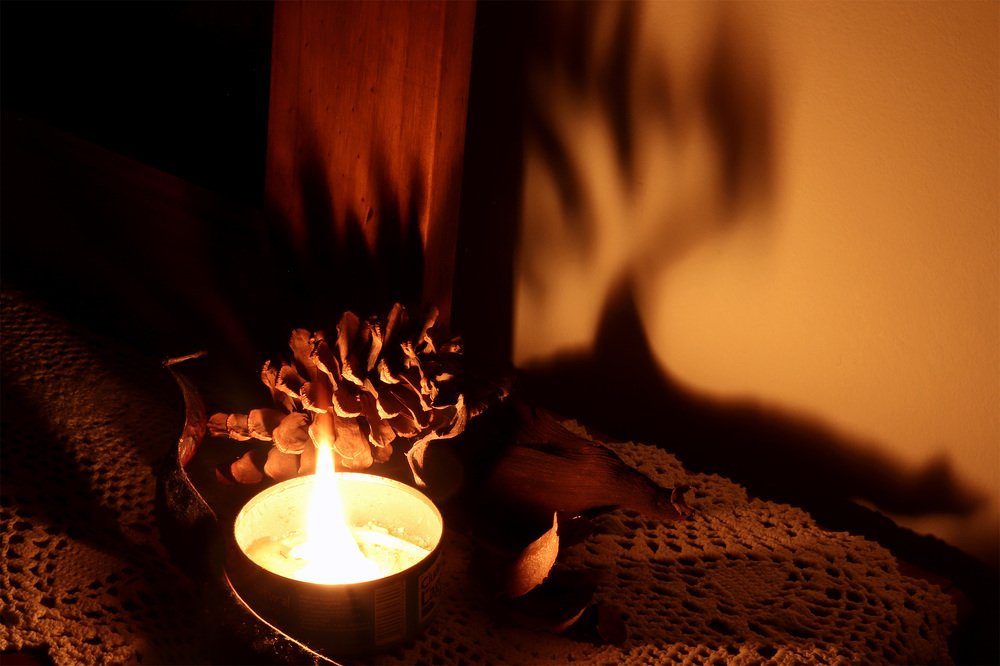 Фотография автора Alicia Rocca