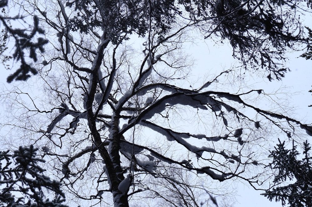 Воображение.