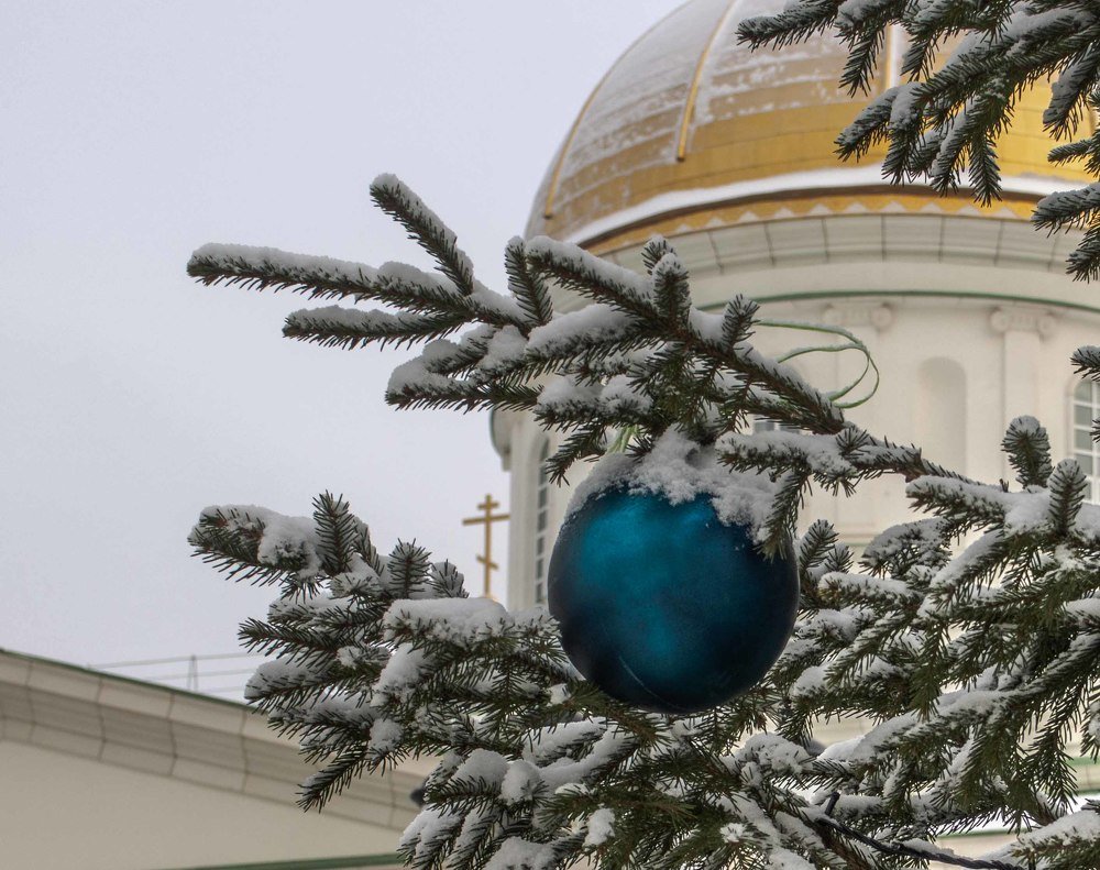 Photograph by mikhail goryachev