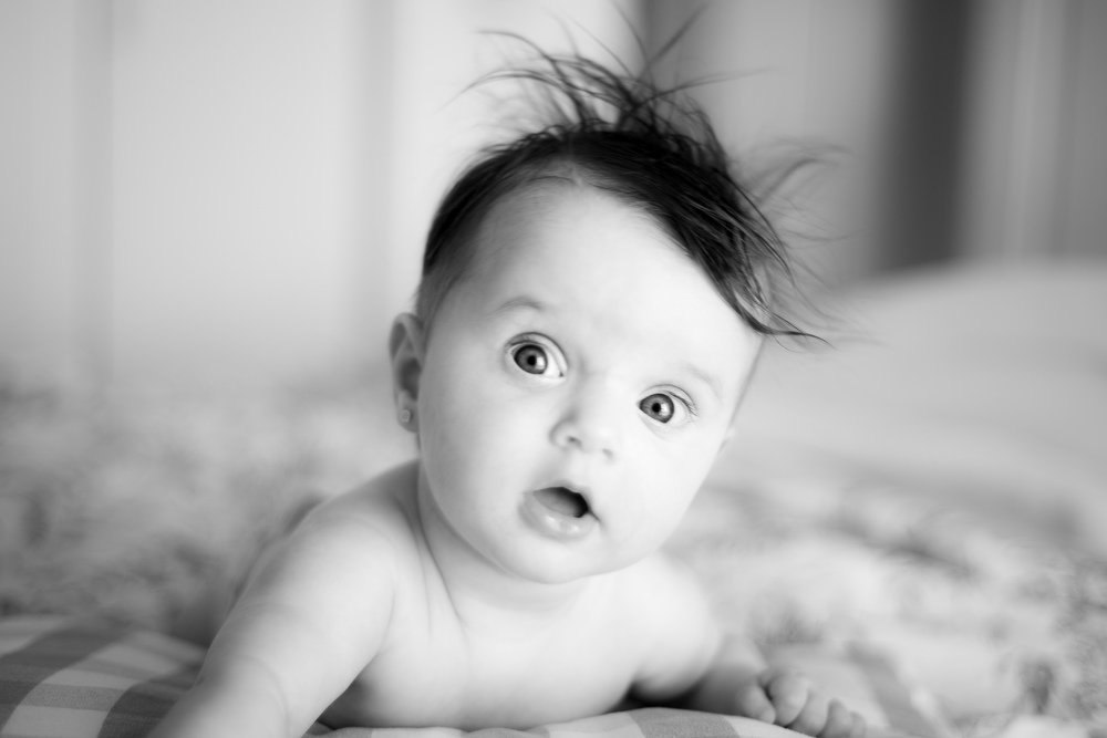 the wonders of this new wold