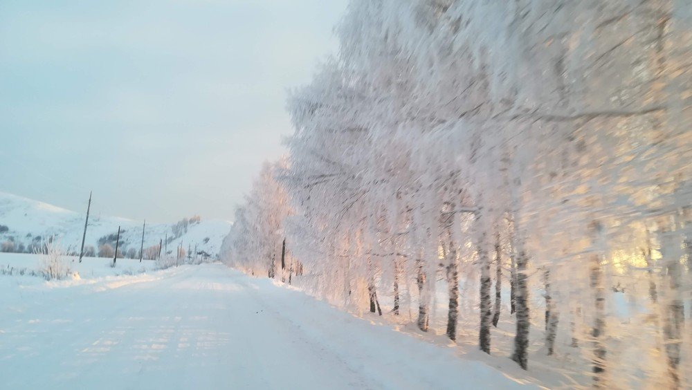 Photo #4269616