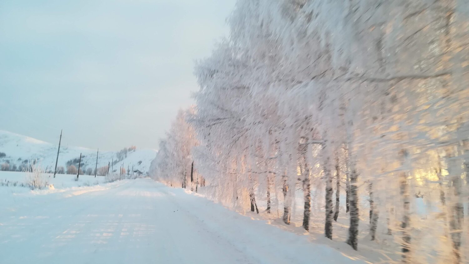Photo #4269616