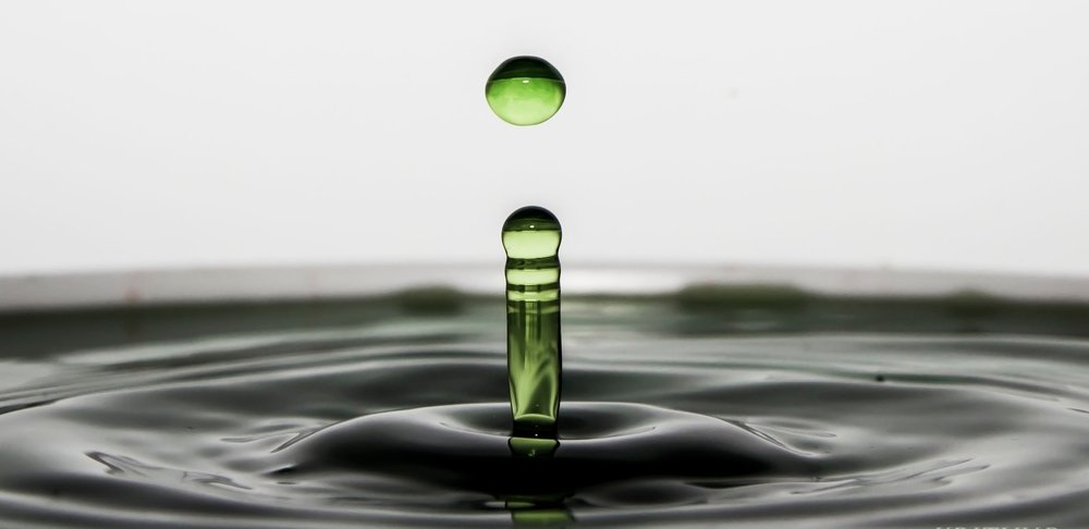 Photograph by Krithy Naidu