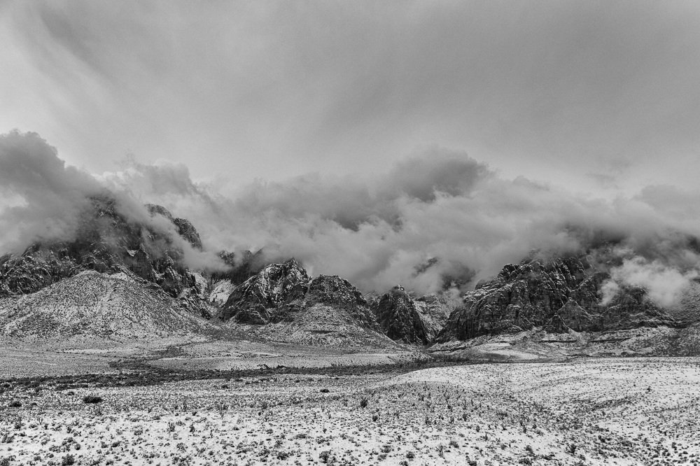 Photograph by Daria Osipova