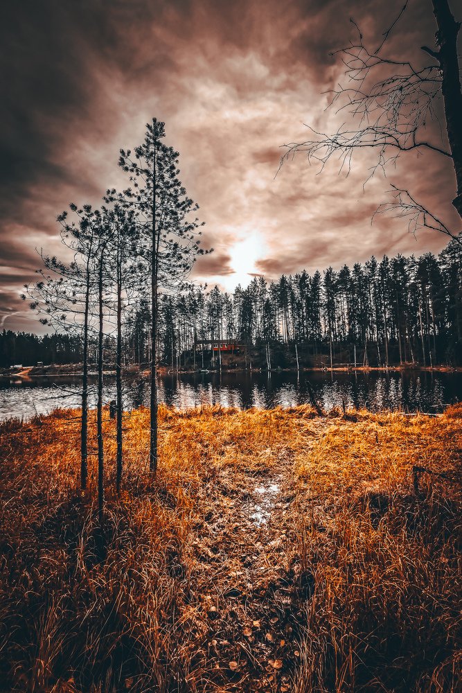 Ленинградская область