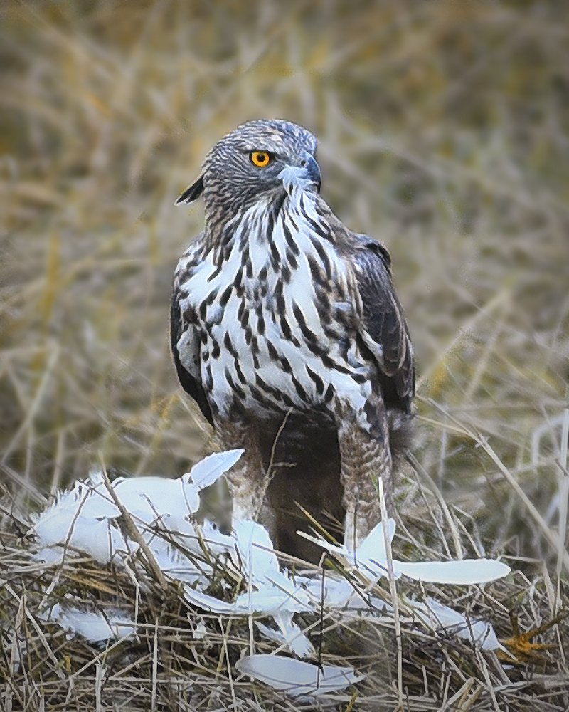 Photograph by Jayesh Vaze
