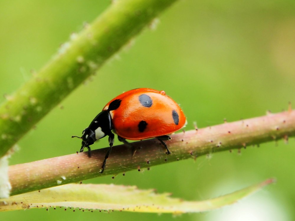 Photograph by Abdolreza Aleagha