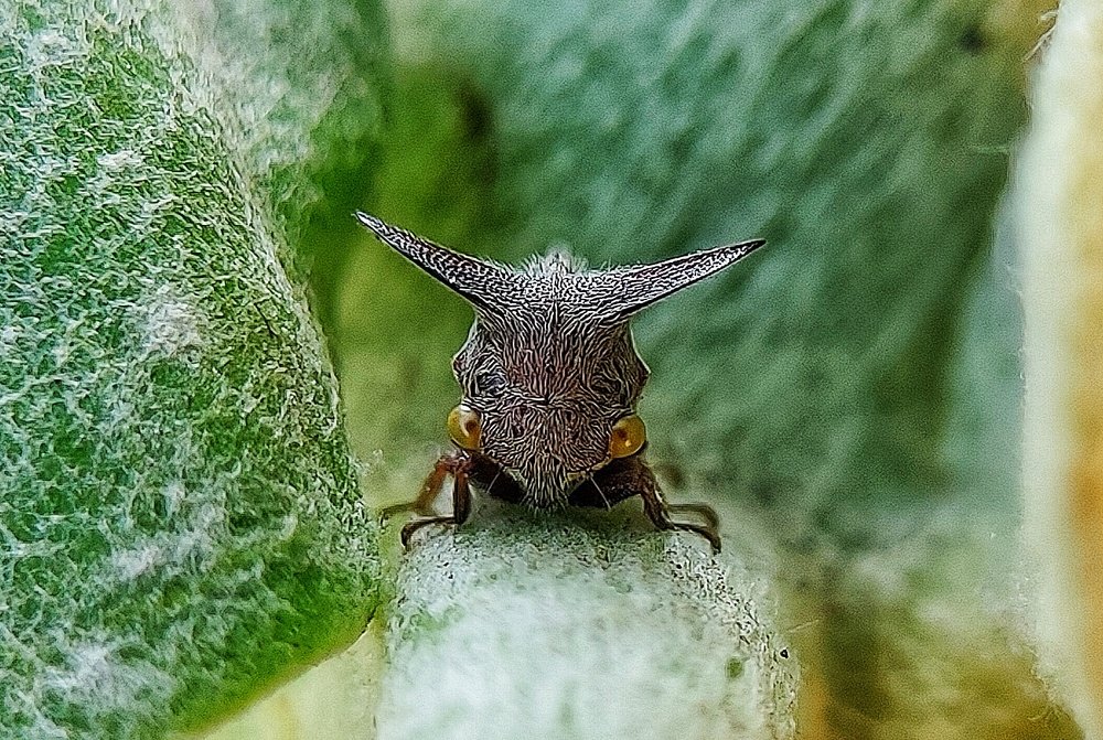 Photograph by SUBRAT NATH