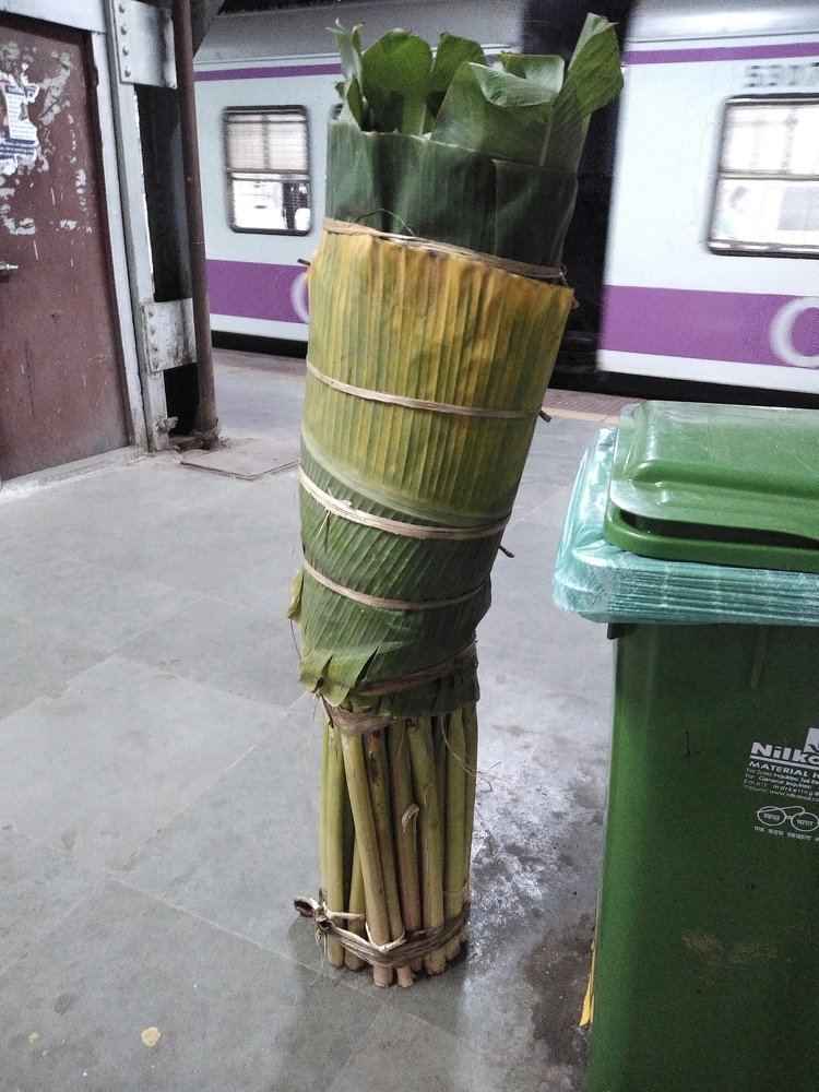 together we still stand a chance