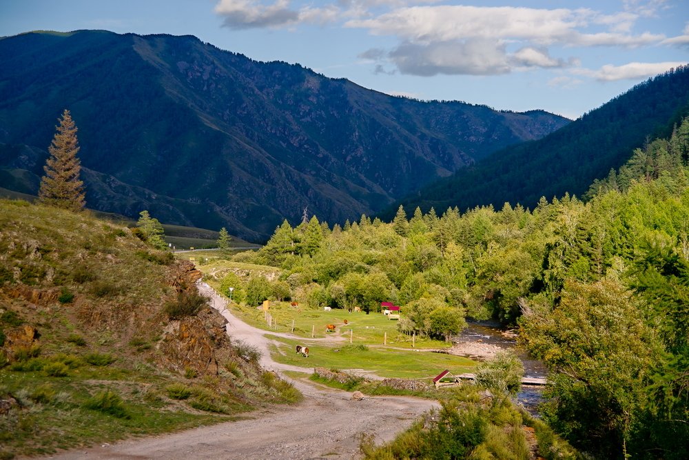 Photograph by Алёна Урсаки