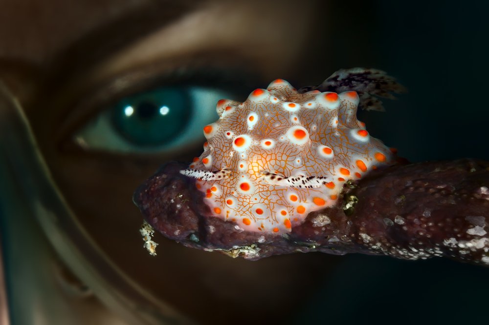 Photograph by Анатолий Белощин