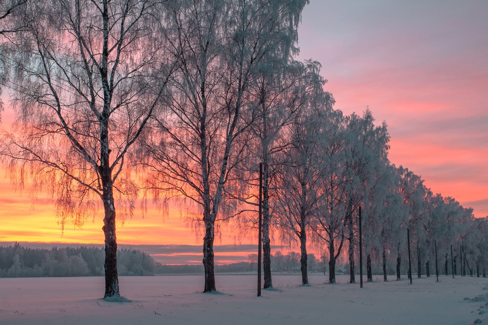 Photograph by Ingrida Skuja