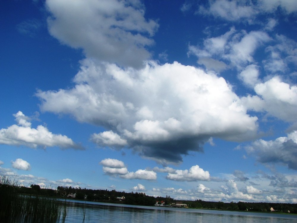 Небесный аквариум