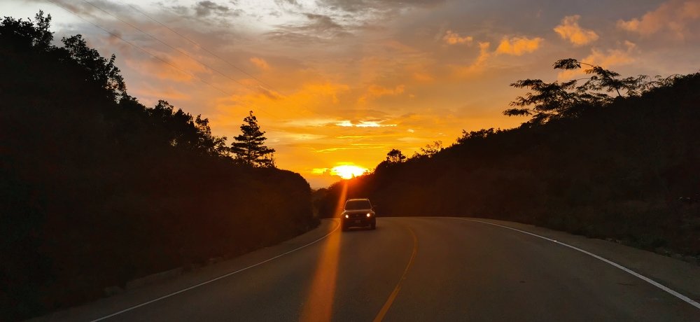 Photo #4270235