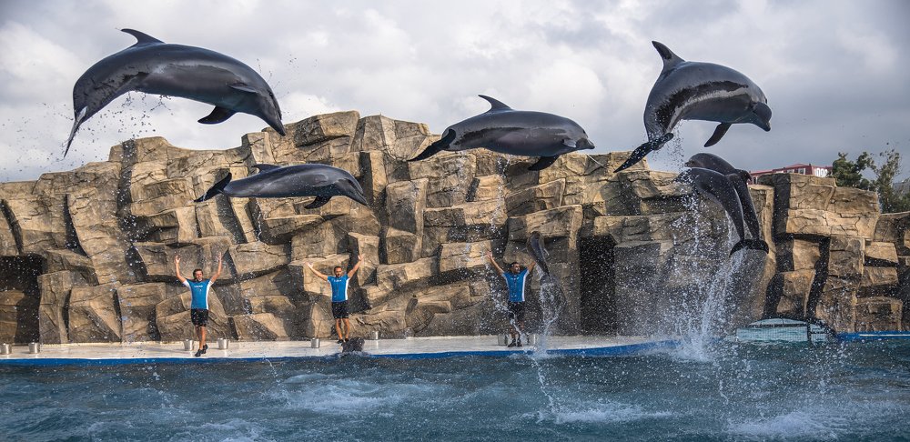 Photograph by Stanislav Kadishes