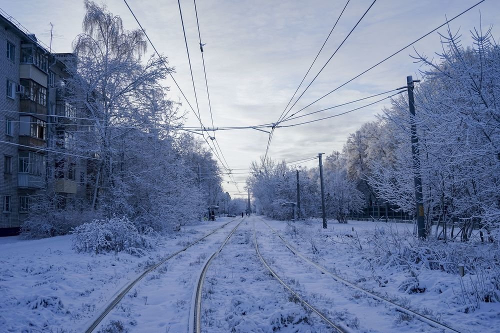 Life lines