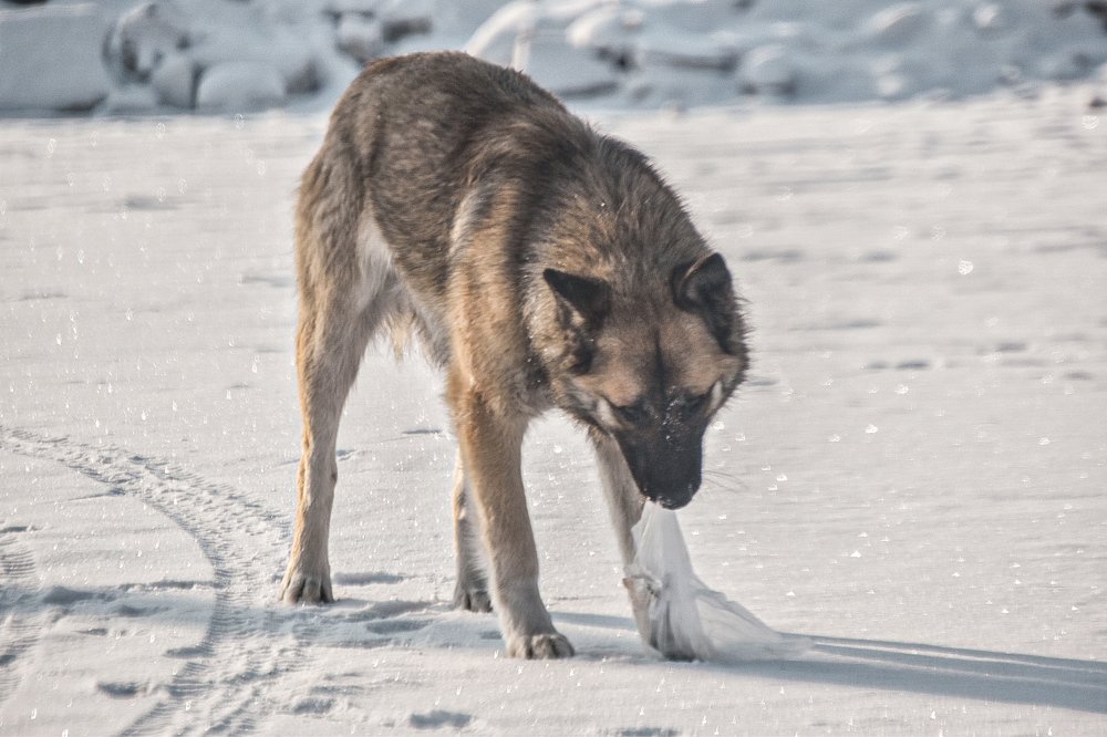 Photograph by Владислав Видилин