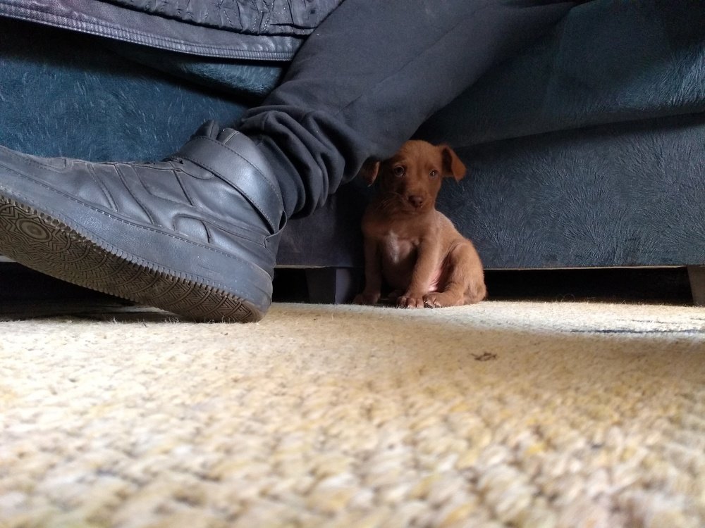 Photo #4270386