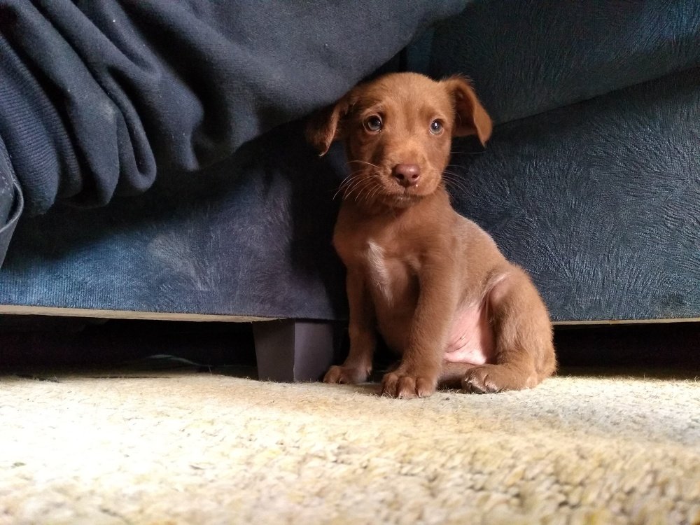Photo #4270388