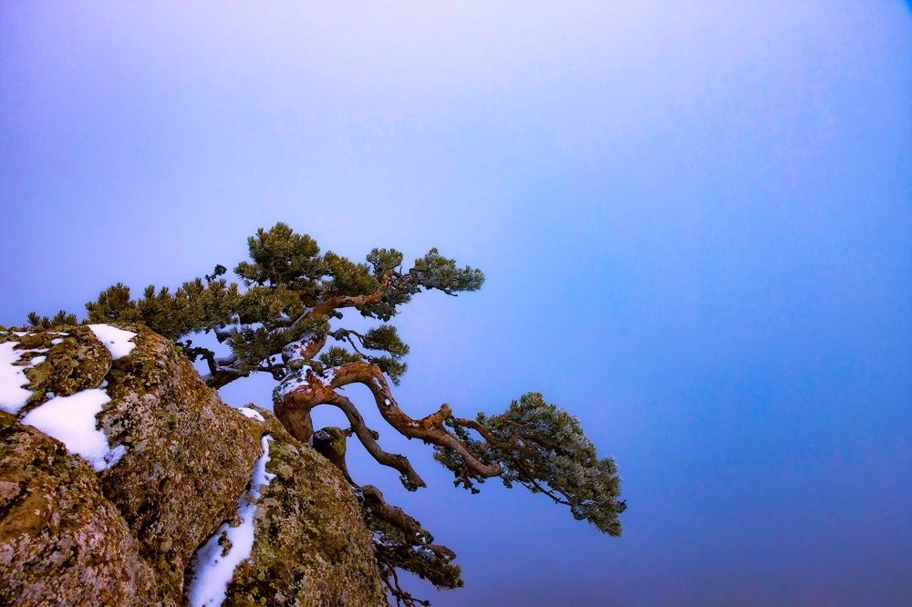 Photograph by Никита