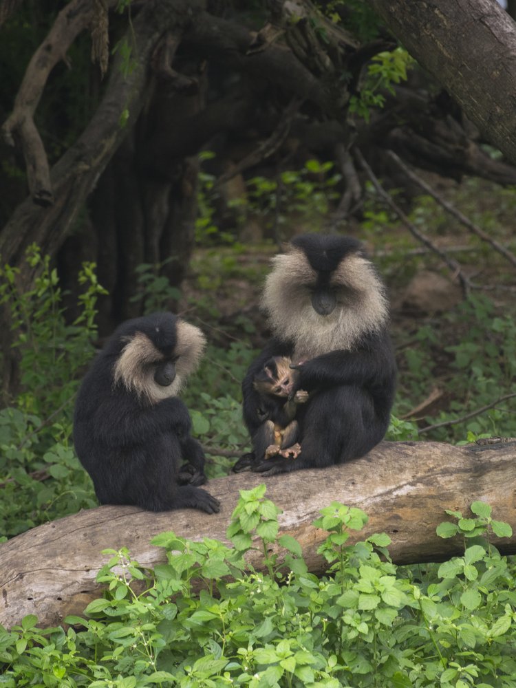 Photograph by Jebastin Anburaj