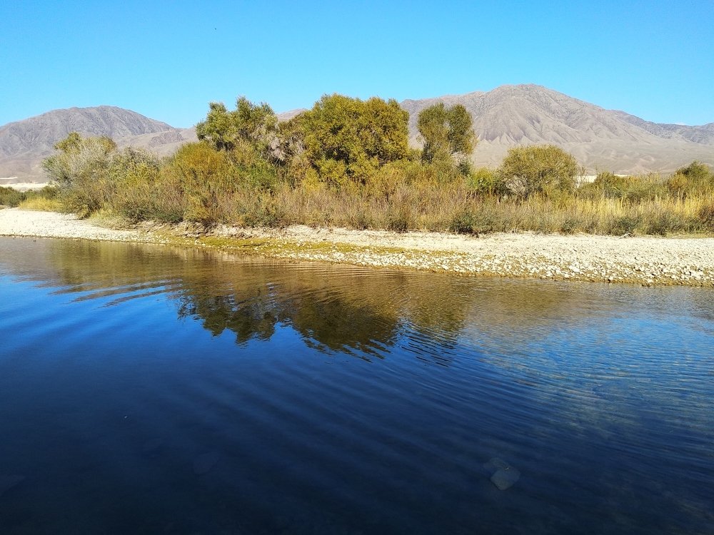 Photograph by Наиля Омарова