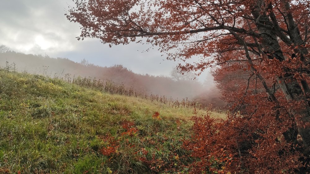 Photograph by Александра