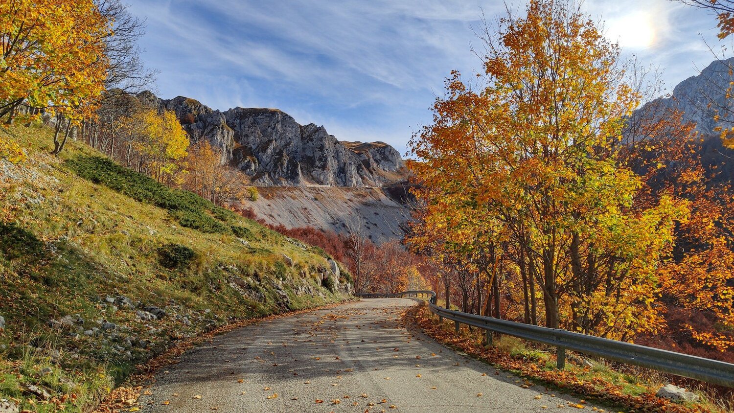 Photo #4270463