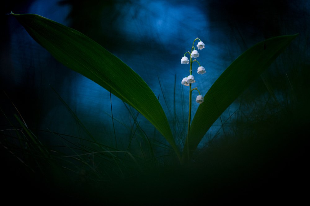 Photograph by Александр Иванов