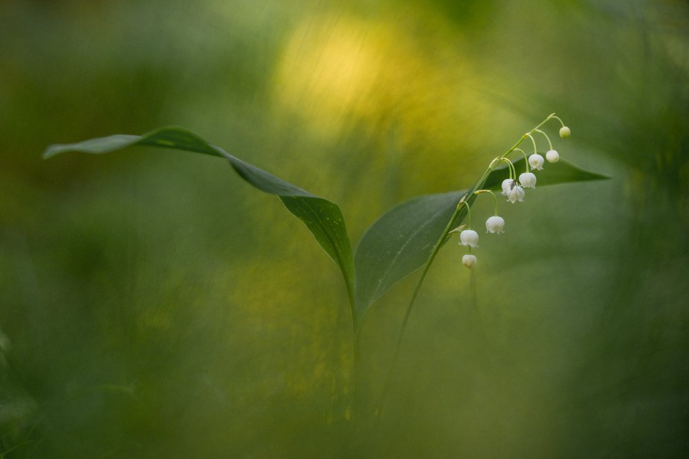 Photograph by Александр Иванов