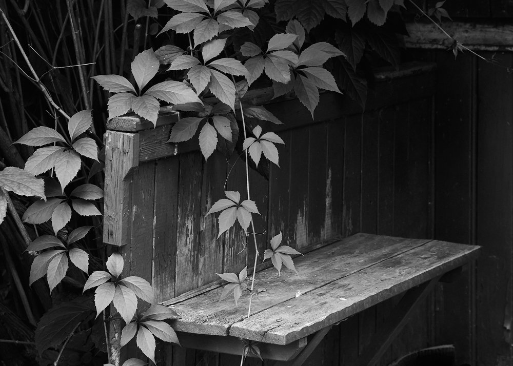 Прошлое - часть настоящего...