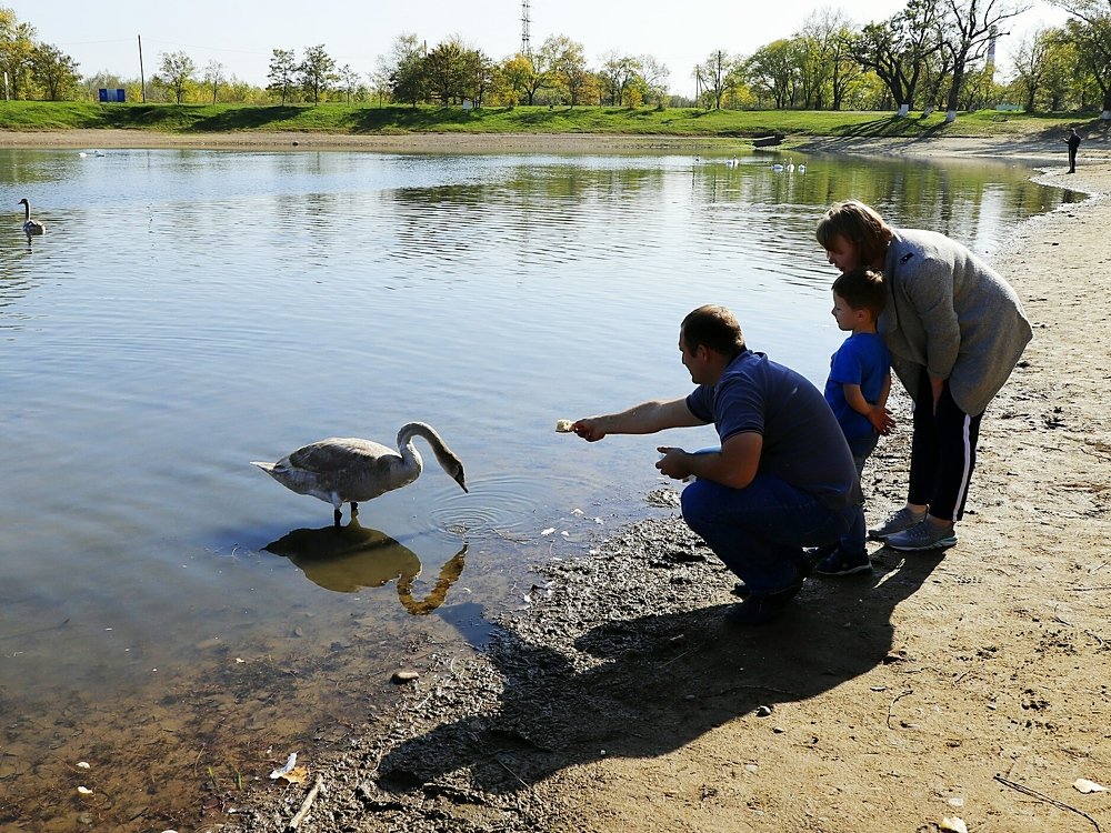 Photograph by Олег Башкуров