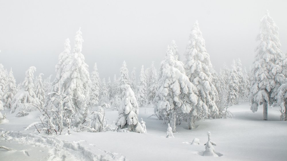 Photograph by Вячеслав Болякин