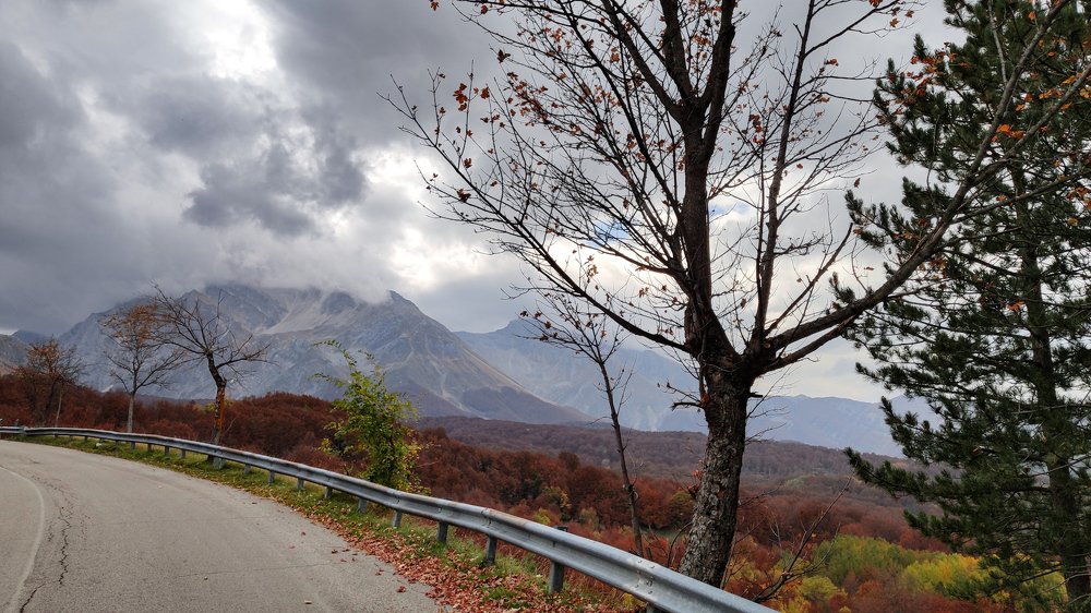 Photo #4270610