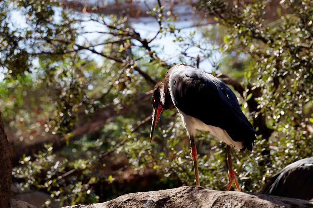 Photograph by Сергей Заболотских