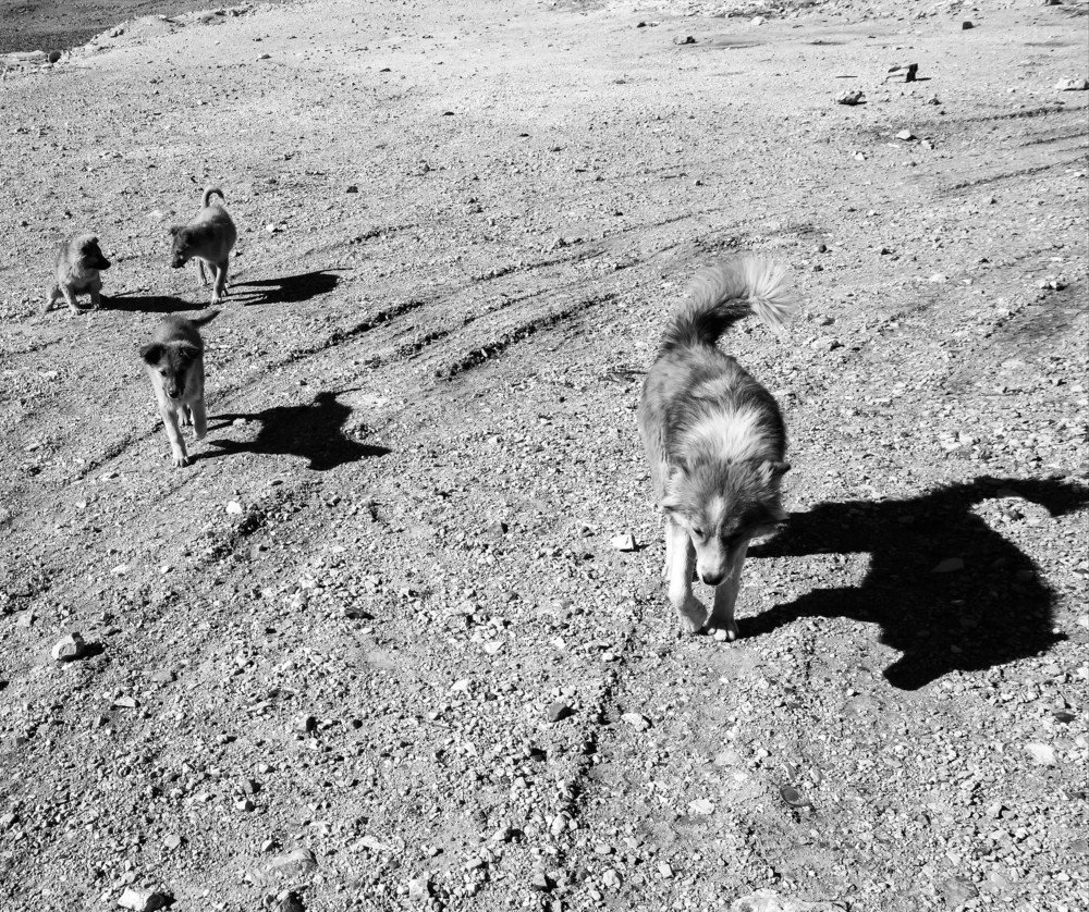 Фотография автора Валентина Рихмаер