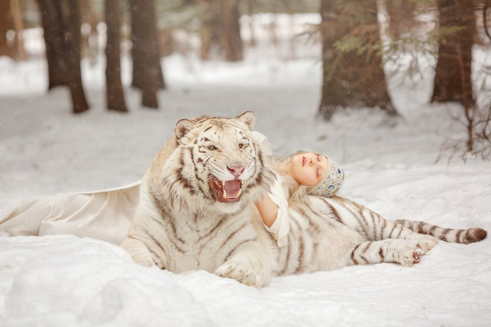 Сердитая охрана