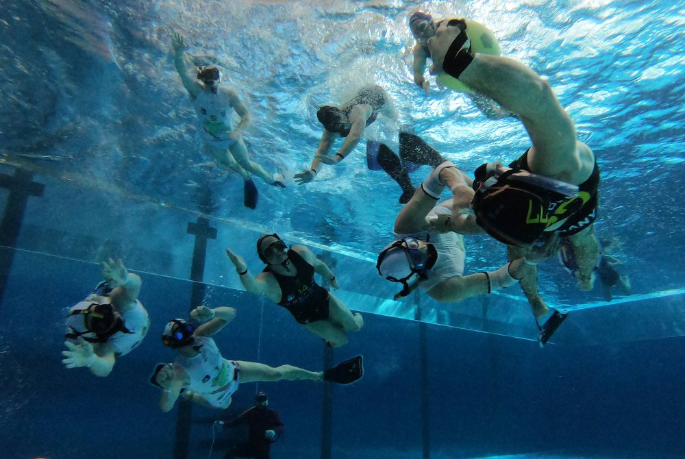 У каждого свой подводный мир / Everyone has one's own underwater world