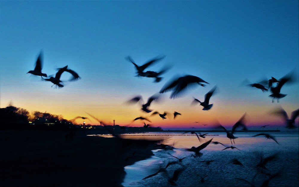 Photograph by Mariusz Smolinski