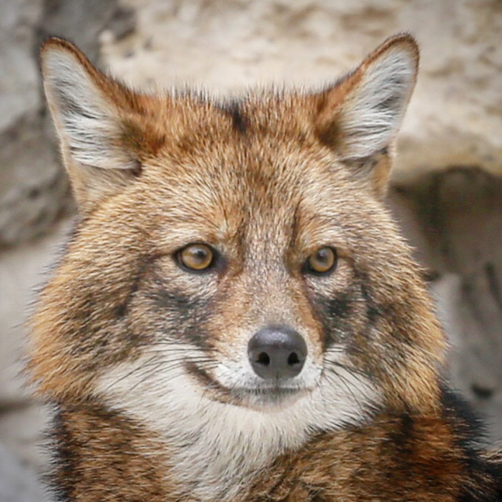 Photograph by  Михаил