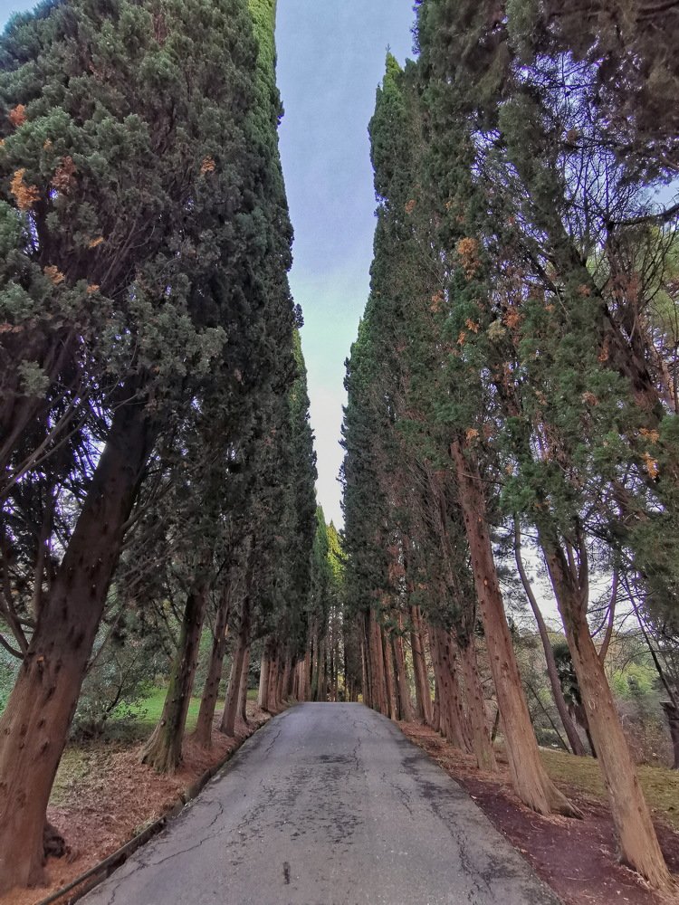 Photograph by Нина Дорожинская