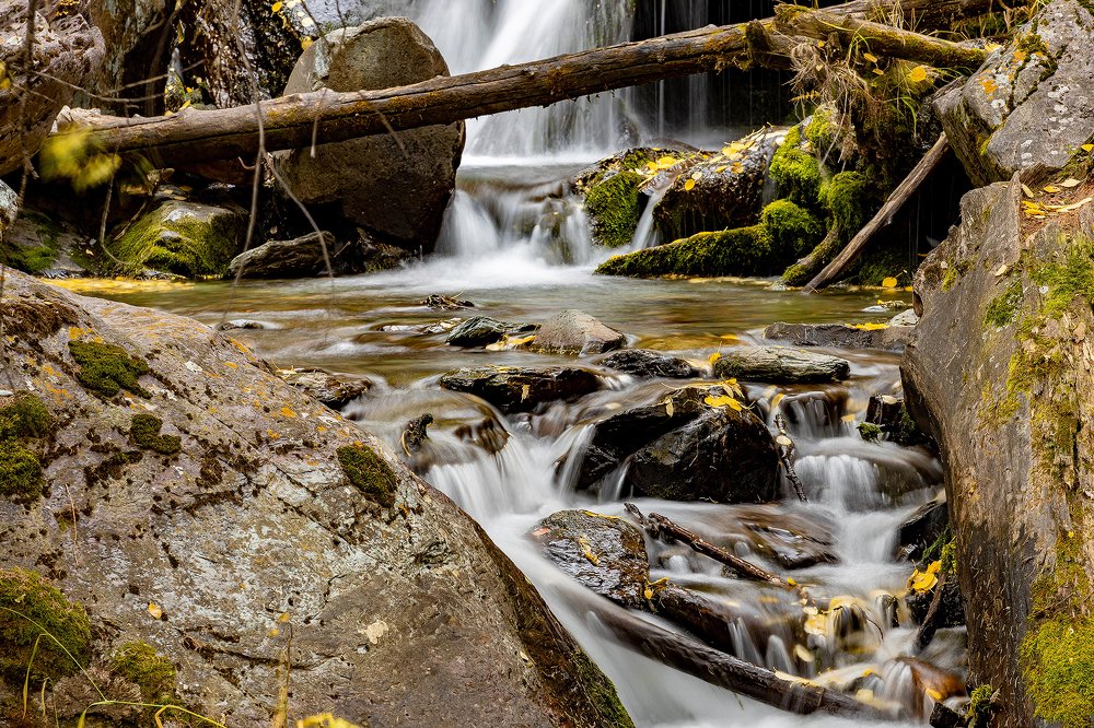 Photograph by Алексей Кустов