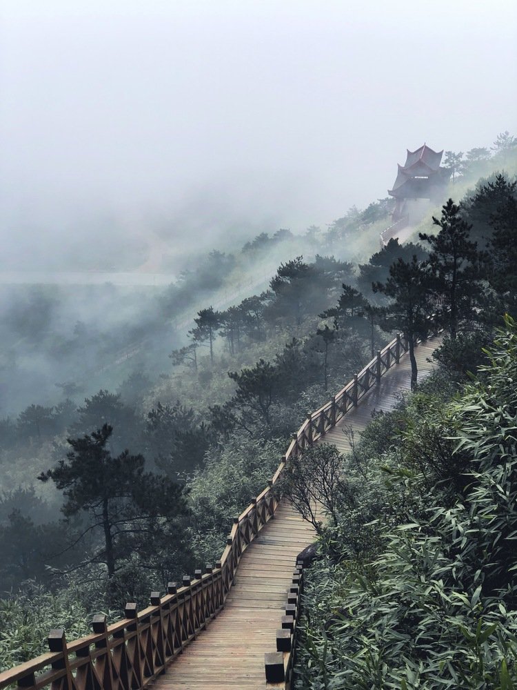 Photograph by Valerii