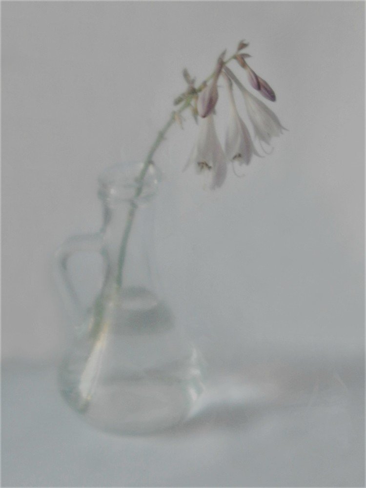 Photograph by Ирина Самойленко