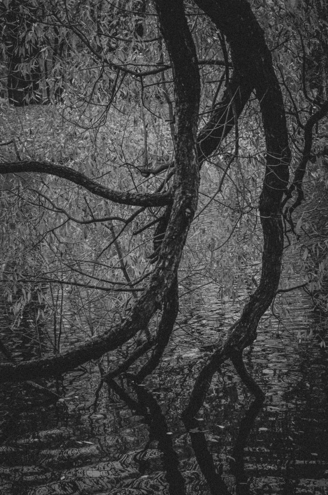 Фотография автора Евгений Демидов