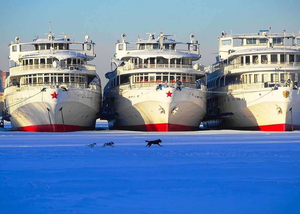Мимо "гигантов"